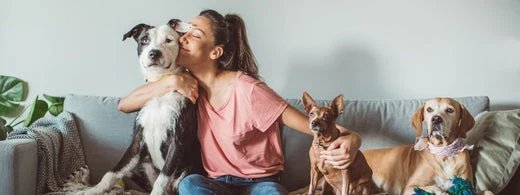 Hund-bei-der-Augenuntersuchung-zu-Hause_1920x1920_520x500_c56fc76a-5f39-459c-9351-47c0203210ee.webp