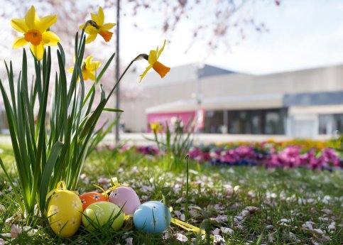 05.04.Ostereiersuche im Kurpark  (c) BBM.jpg