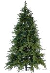 ZX 6450 01 Premium Weihnachtsbaum