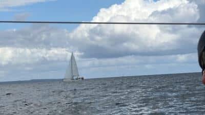 IMG_0767-400x225.jpeg