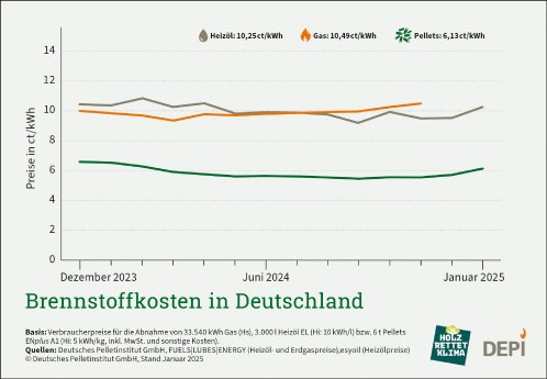 DEPI_Brennstoffkosten_Januar_2025.jpg