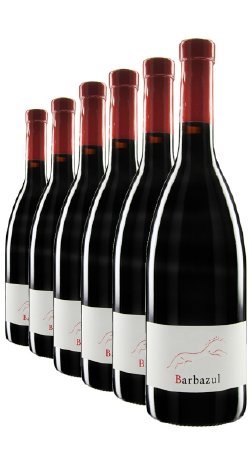 xanthurus - Der trockene Rotwein aus Andalusien überzeugt - Das Weinpaket mit dem Barbazul .jpg