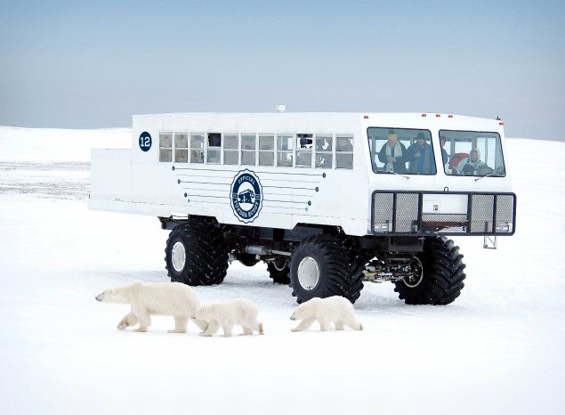 Tundra Buggy_Credit Frontiers North Adventures.jpg