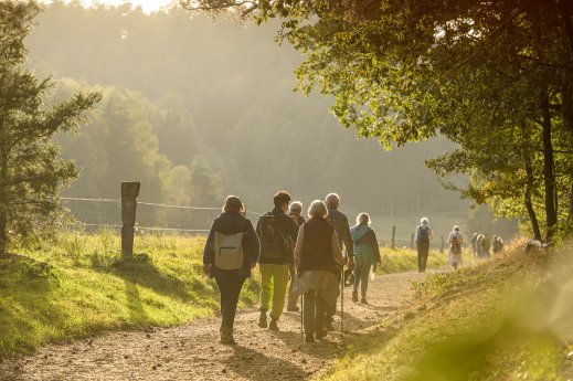 Biosphaerenwanderung Roppeviller__AL61786.jpg