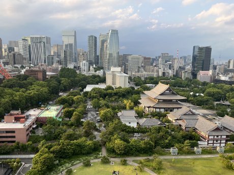 Tokyo Blick auf Shiba Koen (c) Antje Papist-Matsuo.jpg
