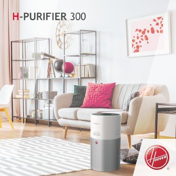 H-PURIFIER300_Product_1.jpg