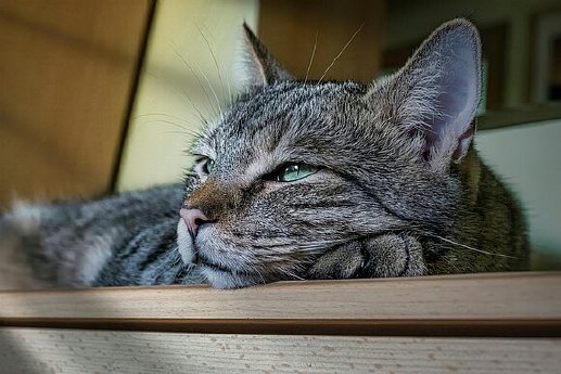 csm_pexels-guvo59-20900702_98a408ea06.jpg