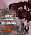 Wanderausstellung zur Auflösung des KZ-Komplexes Natzweiler beiderseits des Rheins