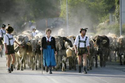 Erleben, Entspannen und Genießen in gesunder Bergluft