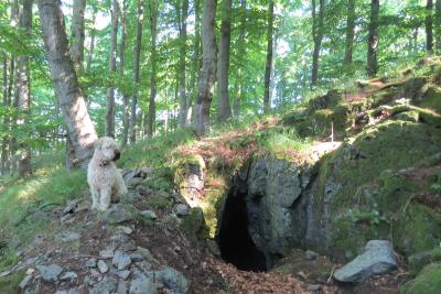 Zufluchtsort Wildholl-Loch – eine kleine Basalthöhle im Vogelsberg wurde als Naturdenkmal ausgewiesen, Foto: Susanne Jost