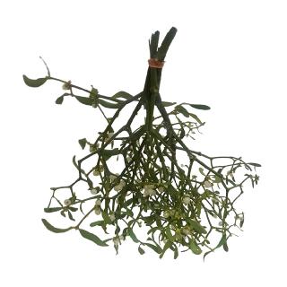 4 Misteln gebunden 30cm (1).jpg