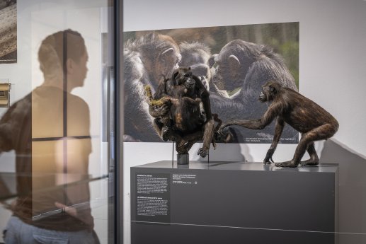 Ausstellungsansicht Foto Museum Wiesbaden Bernd Fickert.jpg