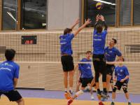 Die Volleyball-Mannschaft des ASV Dachau