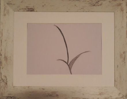 Bild zu Pressetext 1.jpg