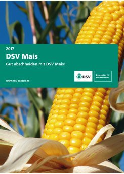 dsv-maisbroschuere.jpg