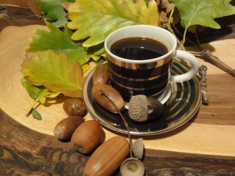 02Wilde kulinarische Herbstschätze_Quelle_Daniela Schneider.jpg