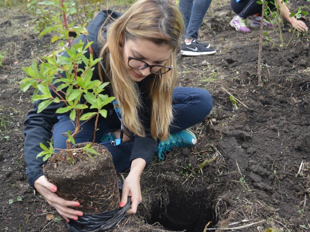 volunteer-work-nature-conservation-santiago-de-chile4 (1).jpg