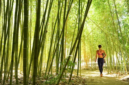 Golden-Door-Healing-Hotels-of-the-World-Bamboo-Yoga-Woman.jpg