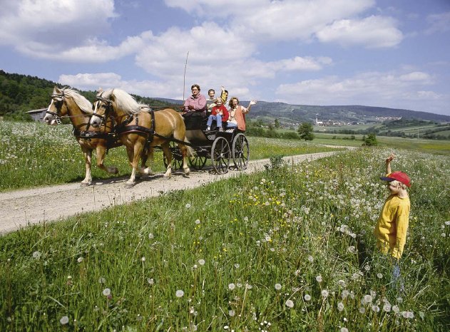 pferdekutschfahrt.jpg