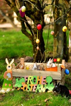 Eekholt_Osterüberraschung_2.jpg