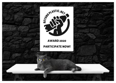 Image_Award_Cat.jpg