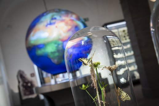 Museum Wiesbaden Wandel Foto Museum Wiesbaden Bernd Fickert.jpg