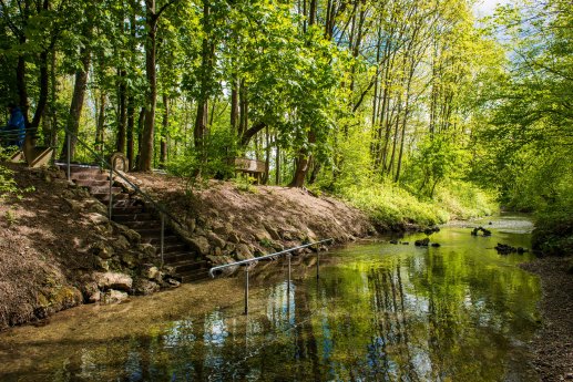 Naturkneipp Anlage © Stadt Dillingen .jpg
