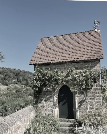 image6.png