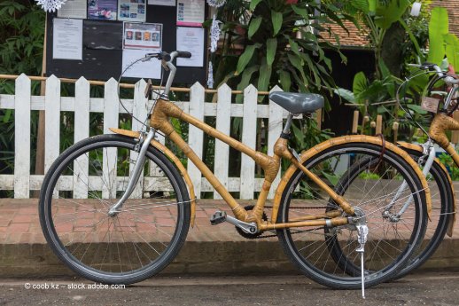 IVK_PI_Bambusfahrrad_01.jpg