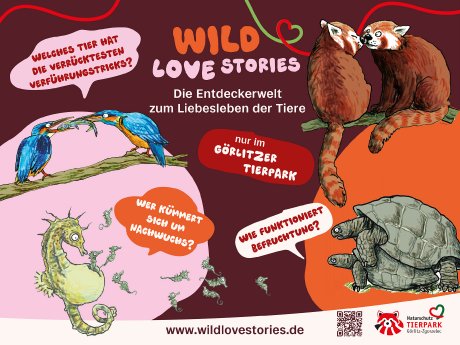 Tierpark Görlitz--Wild Love Stories.jpg