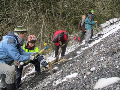 Ehrenamtliche im Bergwaldprojekt bepflanzen eine Steinbruchhalde nahe Schulenberg im Oberharz mit Weidenstecklingen
