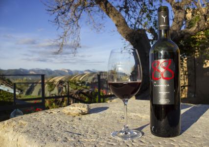 Bodega Ramanyà - Mallorca Rotwein Premium