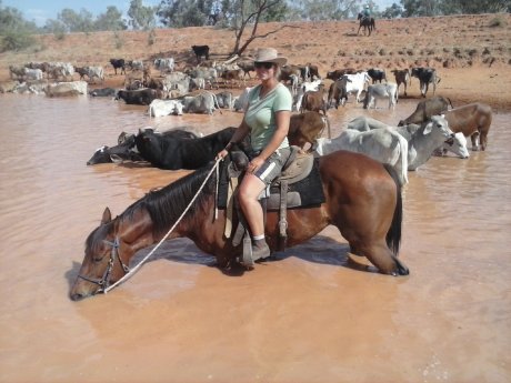 outback-job-australia.jpg