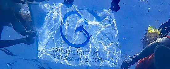 Flagge-Deutsche-Stiftung-Meeresschutz-80-800x324px.jpg
