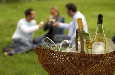Heimische Weine im Trend