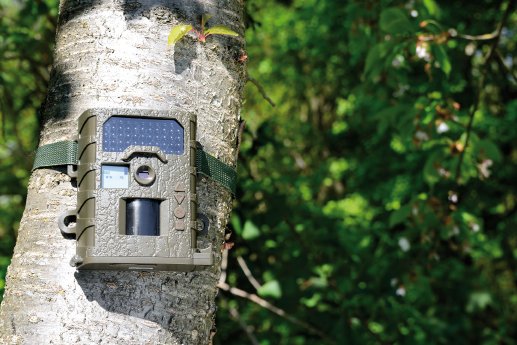 NX-4095_3_VisorTech_HD-Wildkamera_WK-520_mit_Bewegungsmelder.jpg
