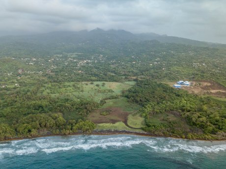 Terroir Pearls 01.jpg