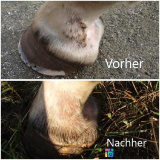 Peter Denius Analyse Huf Vorher Nachher