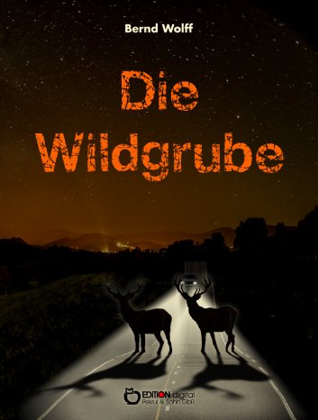 Wildgrube_cover.jpg