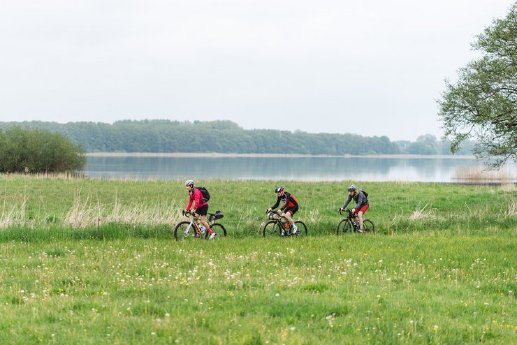 csm_Gravelbike_TMV_Gross_add6279cee.jpg