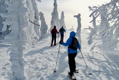 Foto: obx-news/Tourismusverband Ostbayern/Rudi Simeth