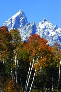 Herbstfarben im Grand Teton NP - (c) Wyoming Travel and Tourism.jpg