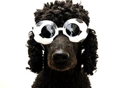 Wohnungssuchende sind Fußballmuffel!? © Fotolia.com SabineTeichert
