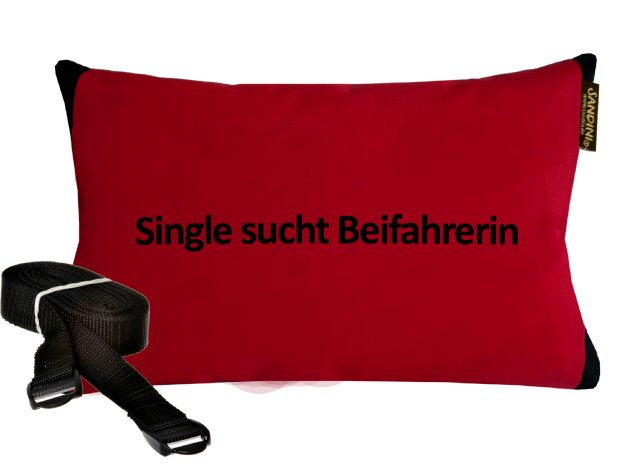 RelaxFix incl. Bezug + Single sucht Beifahrerin.jpg