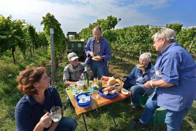 Pause bei der Weinlese