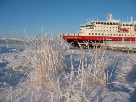 MS Kong Harald im Hurtigruten Winter.jpg