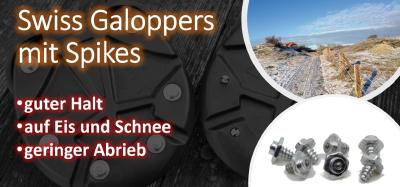Swiss Galoppers Guter Halt auf Eis und Schnee