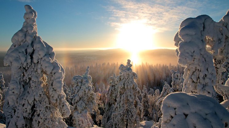Herrliche Winterlandschaft © VUOKATTI_FINLAND.jpg
