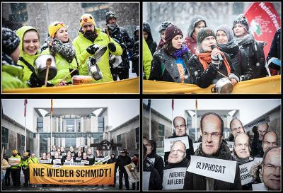 Wir haben es satt!-Demo am 20.1.