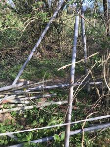 Schrottdemontage in Lüdenscheid kassieren oder bezahlen
